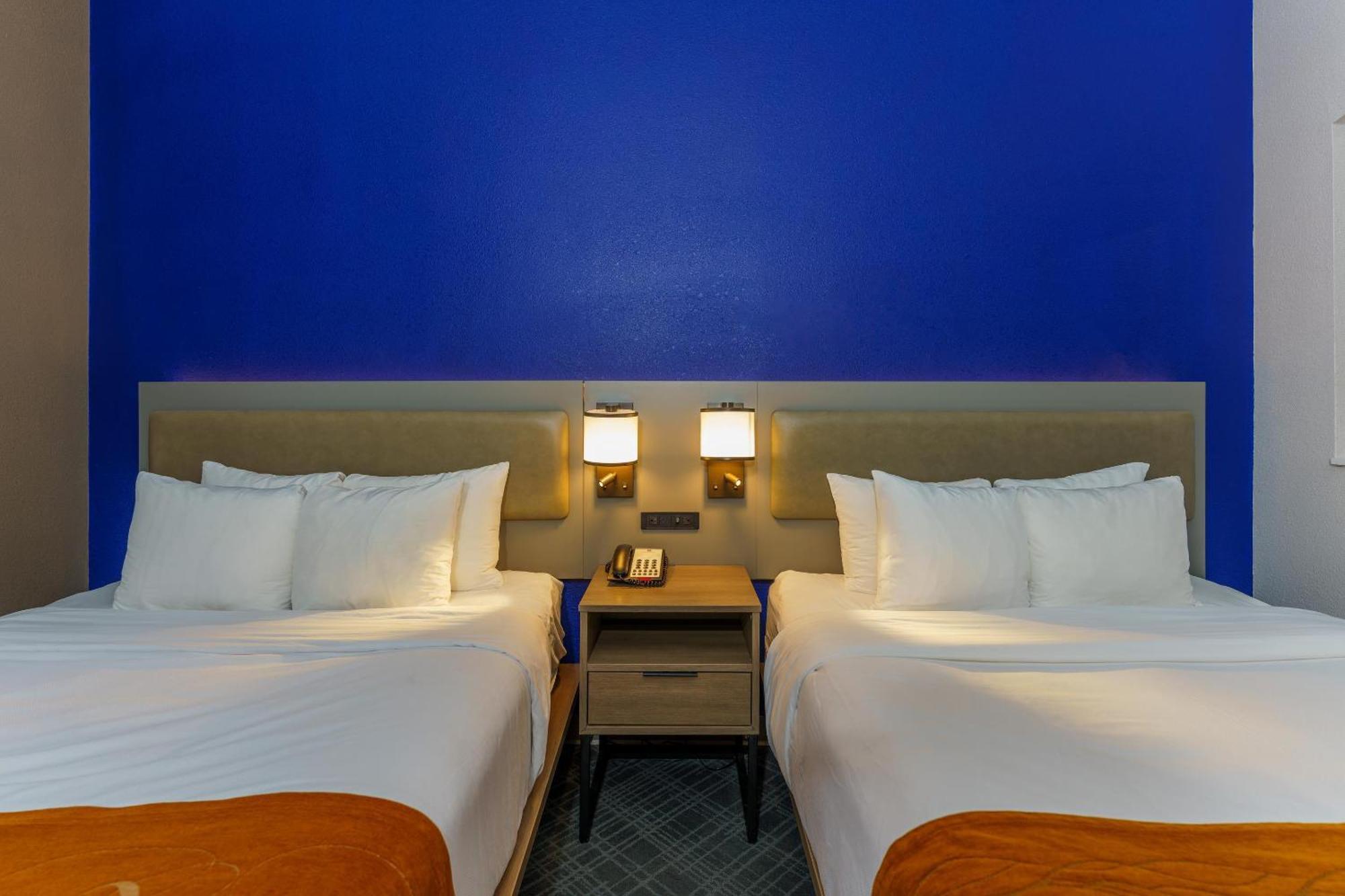קולג' סטיישן Comfort Suites University Drive מראה חיצוני תמונה
