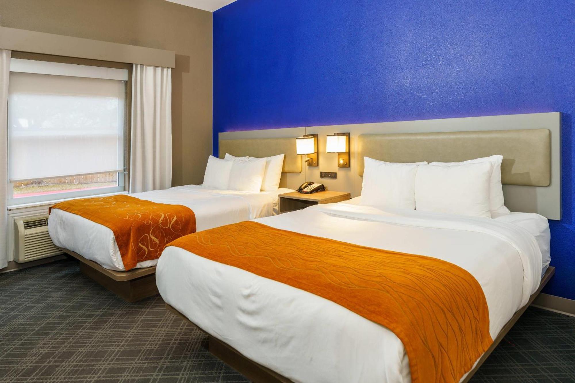קולג' סטיישן Comfort Suites University Drive מראה חיצוני תמונה